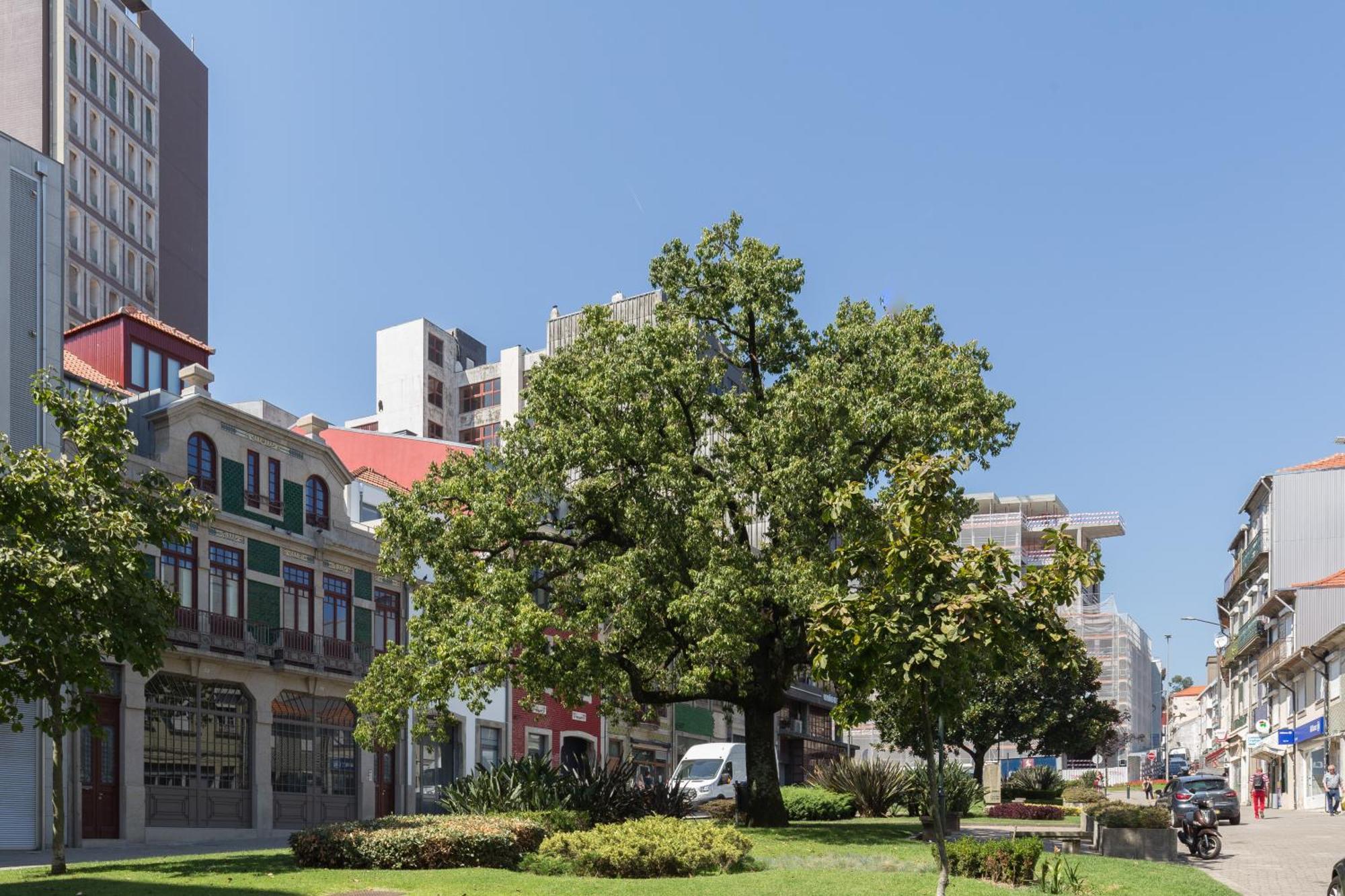Qp Apartments Trindade Porto Exterior photo